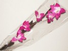 fleur artificielle Art Deco