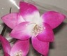 fleur artificielle Art Deco
