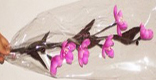 fleur artificielle Art Deco