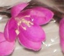 fleur artificielle Art Deco