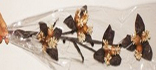 fleur artificielle Art Deco