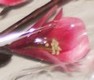 fleur artificielle Art Deco