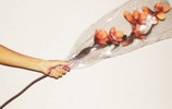 fleur artificielle Art Deco