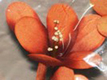 fleur artificielle Art Deco