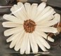 fleur artificielle Art Deco