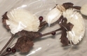 fleur artificielle Art Deco