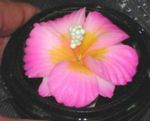 fleur artificielle - fleur en savon