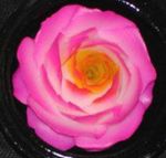 fleur artificielle - une rose en savon