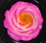 fleur artificielle - une rose en savon