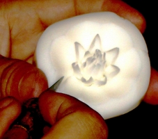 fleur savon parfum