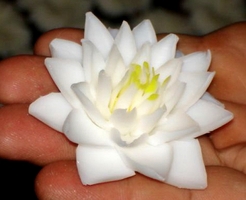 fleur savon parfum