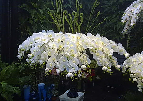 orchidee artificielle