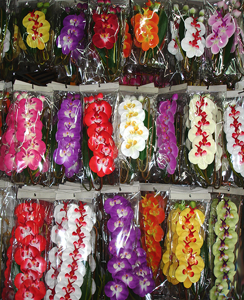 tige hampe d'orchidee design couleur et composition