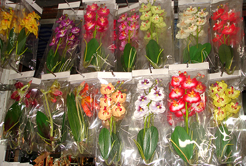 tige hampe d'orchidee design couleur et composition
