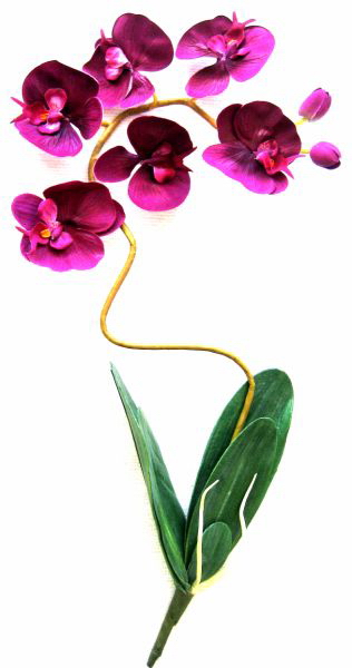 orchidée artificielle et orchidée artificielle composée - modèle orchidées tige orchidee artificielle