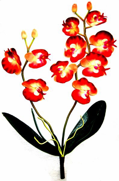orchidée artificielle et orchidée artificielle composée - modèle orchidée tige orchidee artificielle