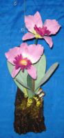 orchidée artificielle composées - modèle magnoorchid_0006 orchidée artificielle composee sur souche bois