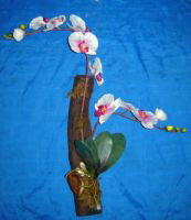 orchidée artificielle composées - modèle magnoorchid_0020 orchidée artificielle composee sur souche bois