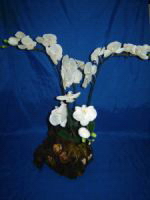orchidees artificielles composees magorchid_0029 orchidée artificielle composee sur souche bois