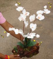 orchidée artificielle composées - modèle plante orchidee plante orchidee artificielle comme nature 0045 orchidée artificielle composee sur souche bois