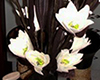 bouquet Art Deco lumineux